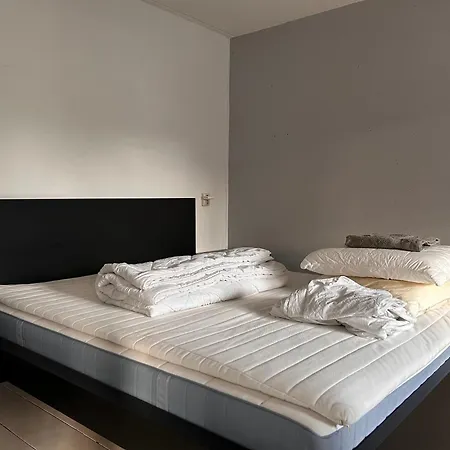 Homestay Properties *